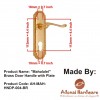 "Mahalalel" Brass Door Handle with Plate 